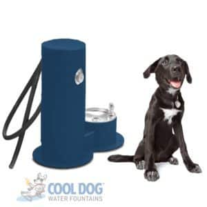 Cool Dog Water Fountain Drink Wash Cool Single