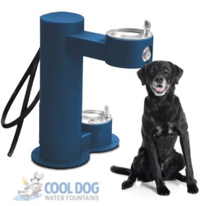 Cool Dog Water Fountains Drink, Wash Cool Dual