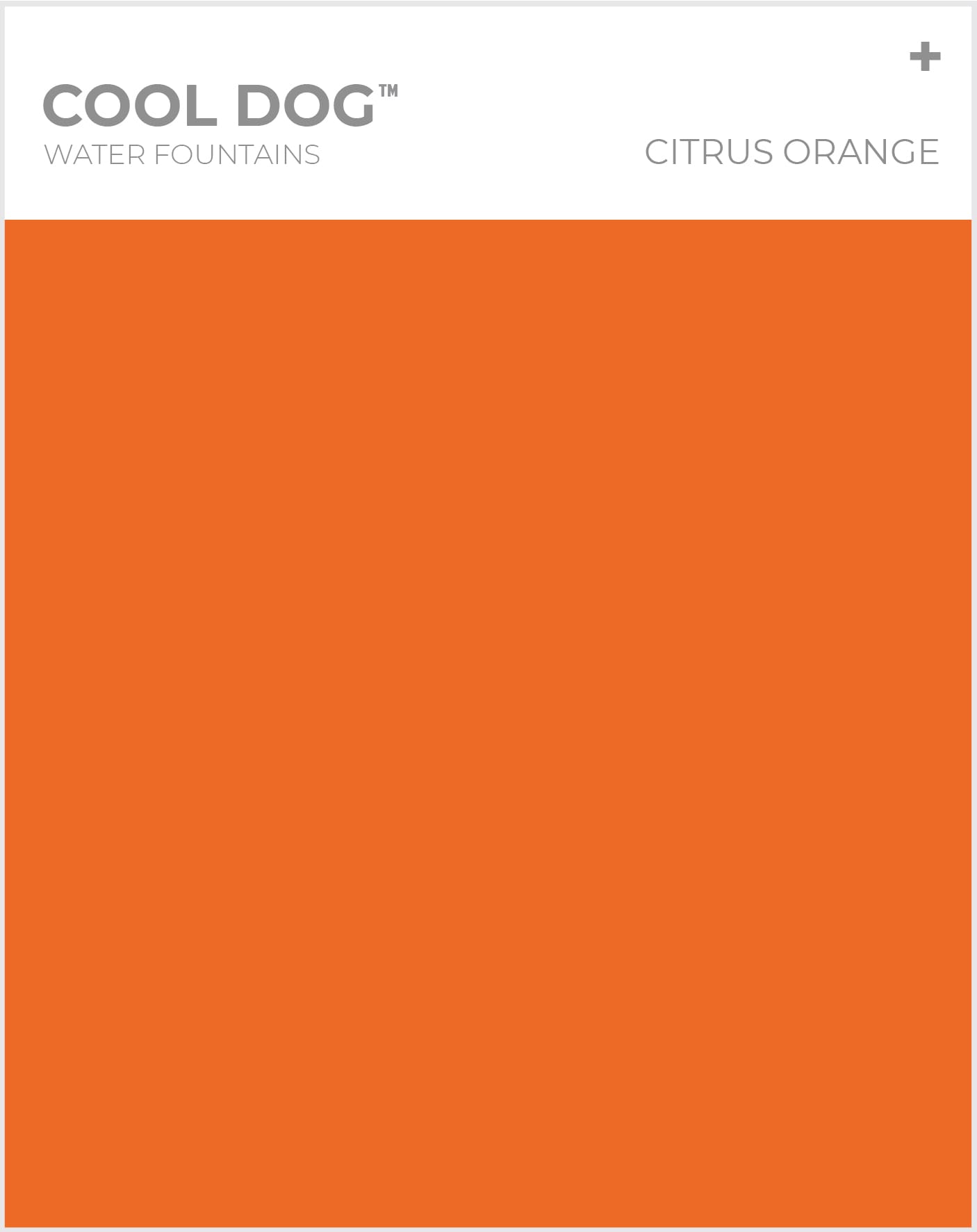 cool-dog-water-fountains-citrus-orange